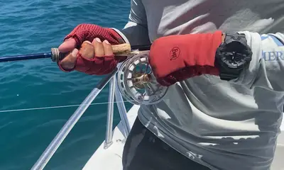Fajardo Report Video 0