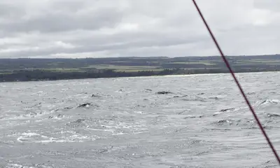 Knowledgeable, Friendly, & Experience!