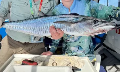 Port Douglas Report Video 0