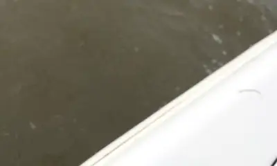 Venice Report Video 0