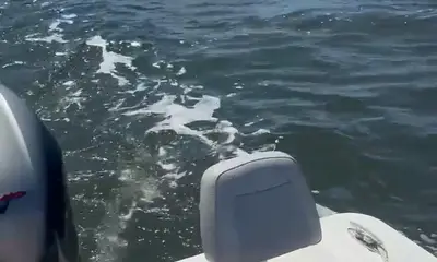 Manteo Report Video 1