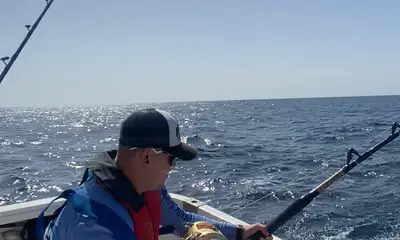 Tavira Report Video 1