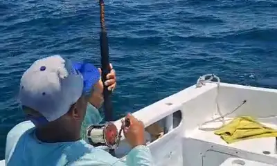 San Jose del Cabo Report Video 0