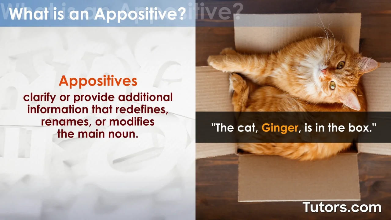 Image Result For Inappositely Definition And Meaning Collins English Dictionary Image Result For Inappositely Definition And Meaning Collins English Dictionary