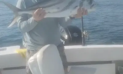 San Jose del Cabo Видео отчет 1