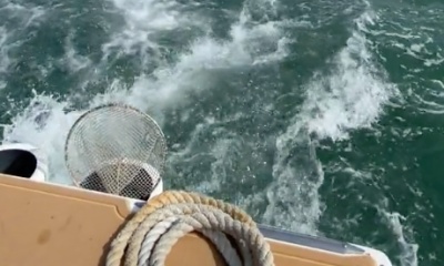 Cabo San Lucas Report Video 0