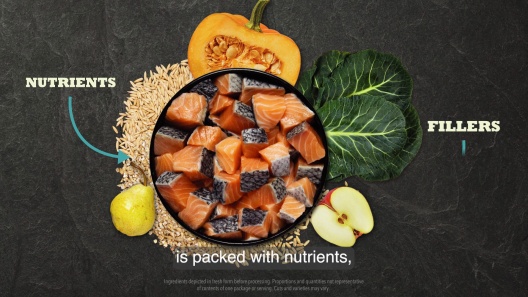 ACANA Classics Salmon & Barley Recipe Dry Dog Food