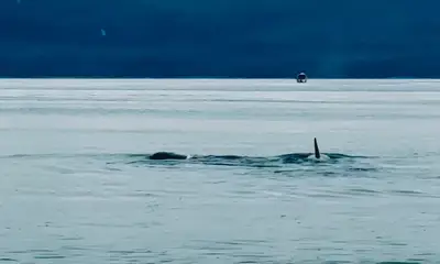Fish on!!! ?