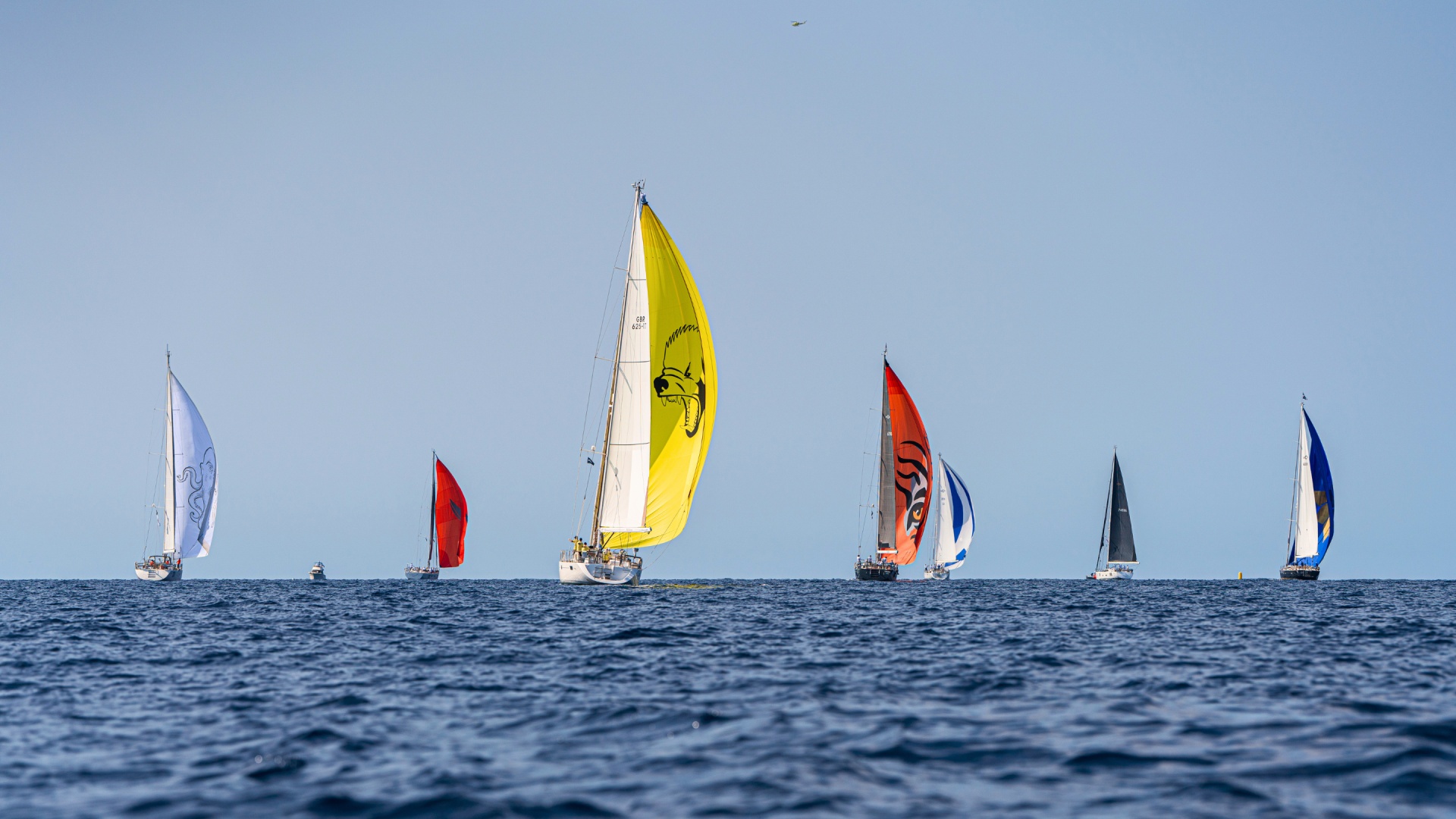 Oyster Palma Regatta 2024 Wrap Up Film