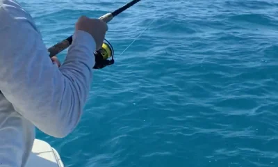 Naples Report Video 0