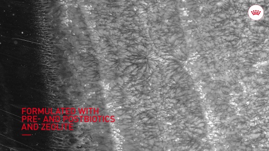 Royal Canin Digestive Support Soft Chews Supplement for Adult Dogs, 8.47-oz pouch