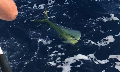 Carolina Beach Report Video 0