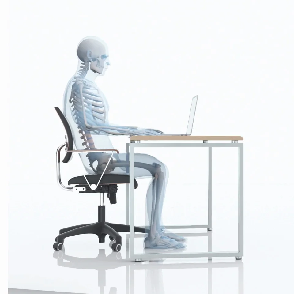 The Office Chair for Sciatica