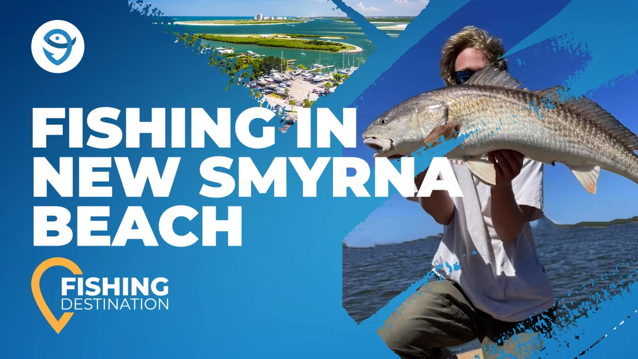 Top 5 Spin Casting Tips for Saltwater Fishing (Updated Feb 2024