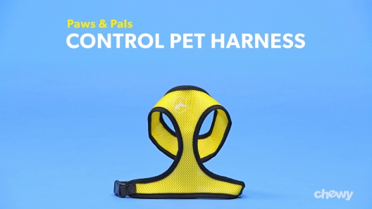Play Video: Learn More About Paws & Pals From Our Team of Experts