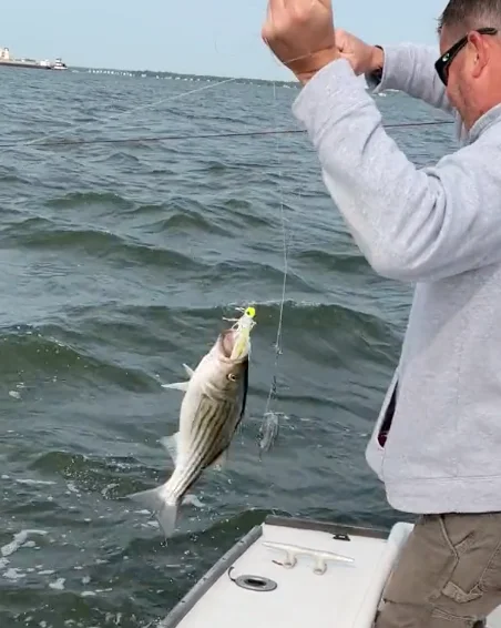 Business Card: Migrator Fishing and Hunting LLC
