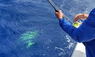 its was a bit rough out thwre but the captain put us on some nice fish!