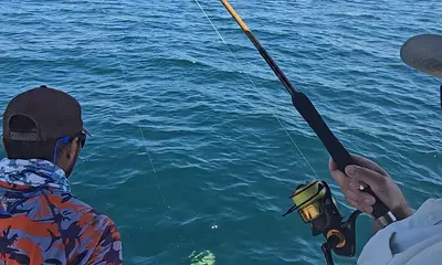 Panama City Report Video 1