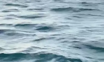 Port Isabel Report Video 0