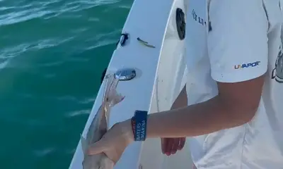 Key Largo Report Video 0