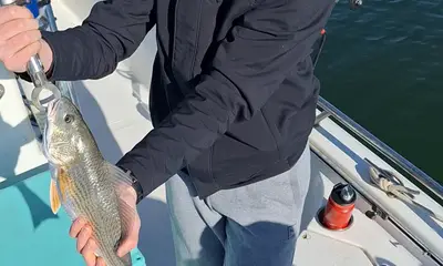 San Antonio Report Video 0