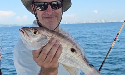 Panama City Report Video 0