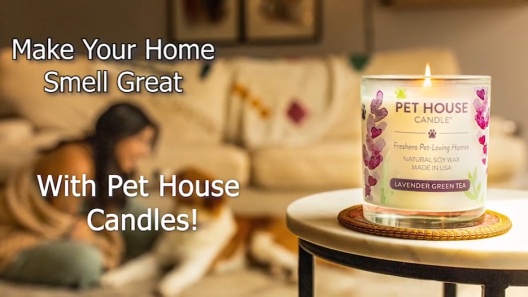 Play Video: Learn More About Pet House From Our Team of Experts
