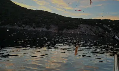 Squid fishing by night