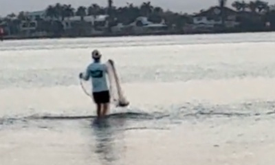 Placida Verslag Video 0