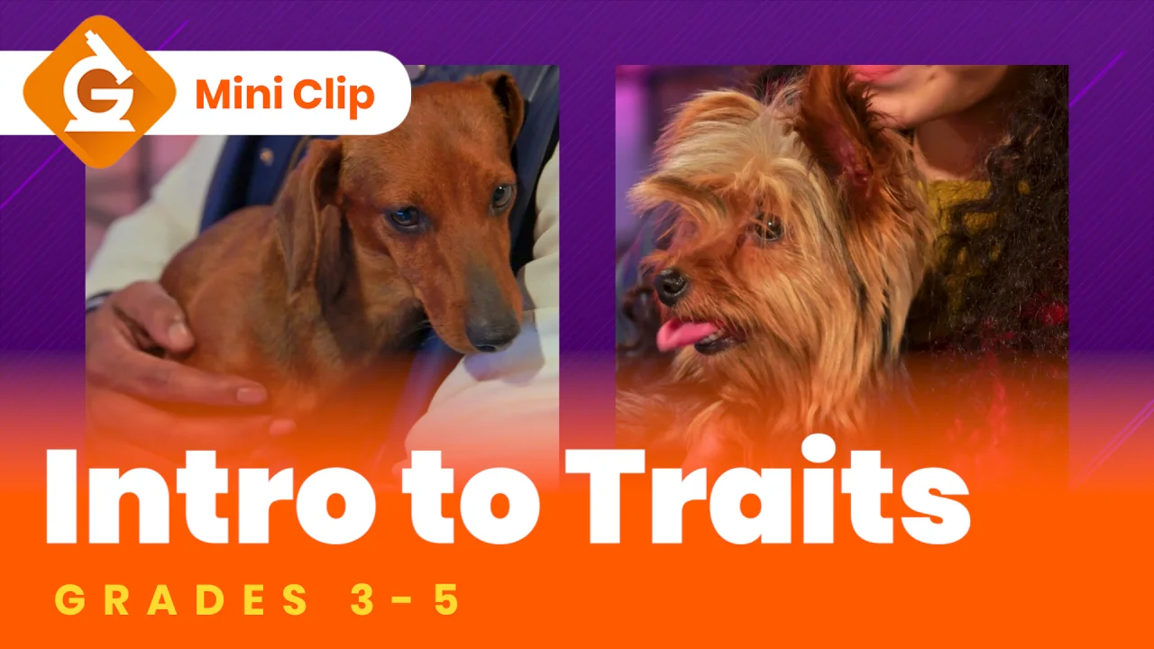 inherited traits science lesson for kids grades 3 5