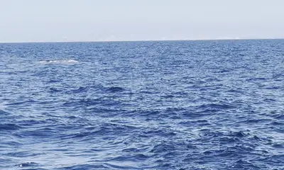 Great Day out on the Water