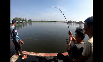 Bangkok Report Video 0