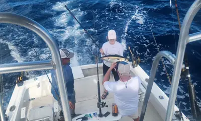 Key West Report Video 0