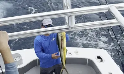 Miami Beach Report Video 0