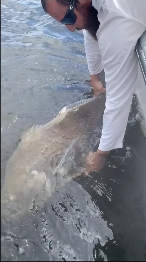 Business Card: Beast Coast Fishing Charters