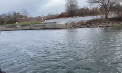 Oswego Report Video 0