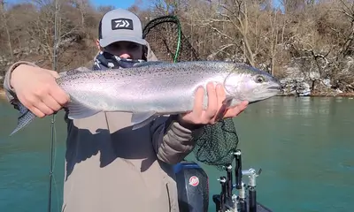 Youngstown Report Video 0
