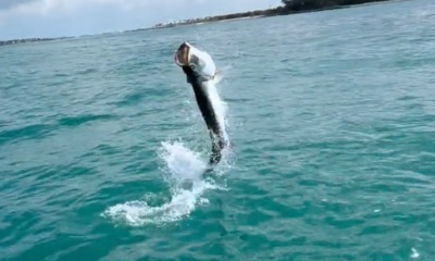 Key West Bericht Video 1