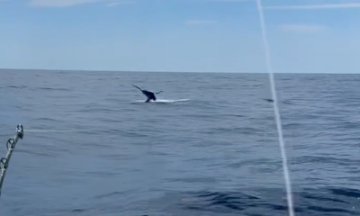 Atlantic Beach Report Video 0