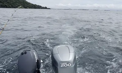 Panama City Report Video 0