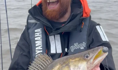Amsterdam Report Video 0