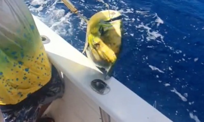 Playa Del Carmen Report Video 0