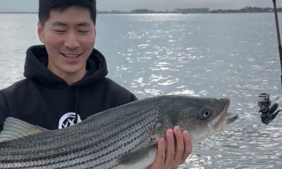New York City Report Video 0