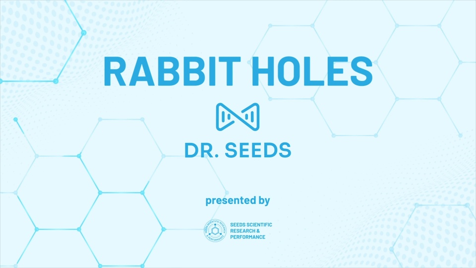 Rabbit Holes – July 2025