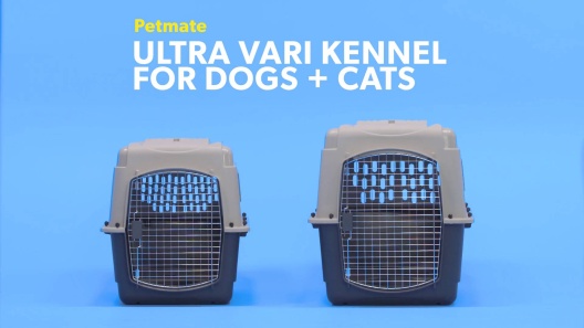 PETMATE – Vari Kennel, Large Portable Plastic Pet Crate 36″x25″x27