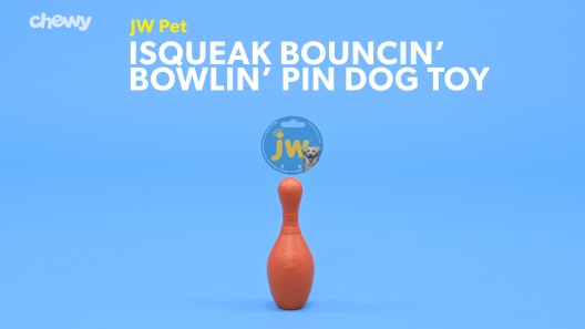 Play Video: Learn More About JW Pet From Our Team of Experts