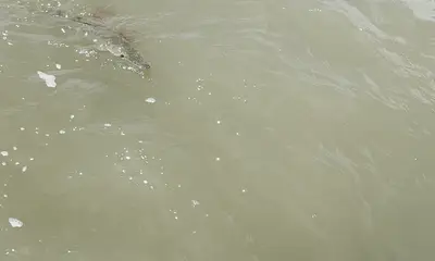 Copano Bay Report Video 1