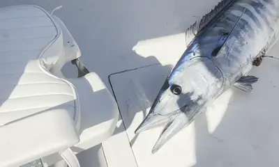 Great Fishing Charter