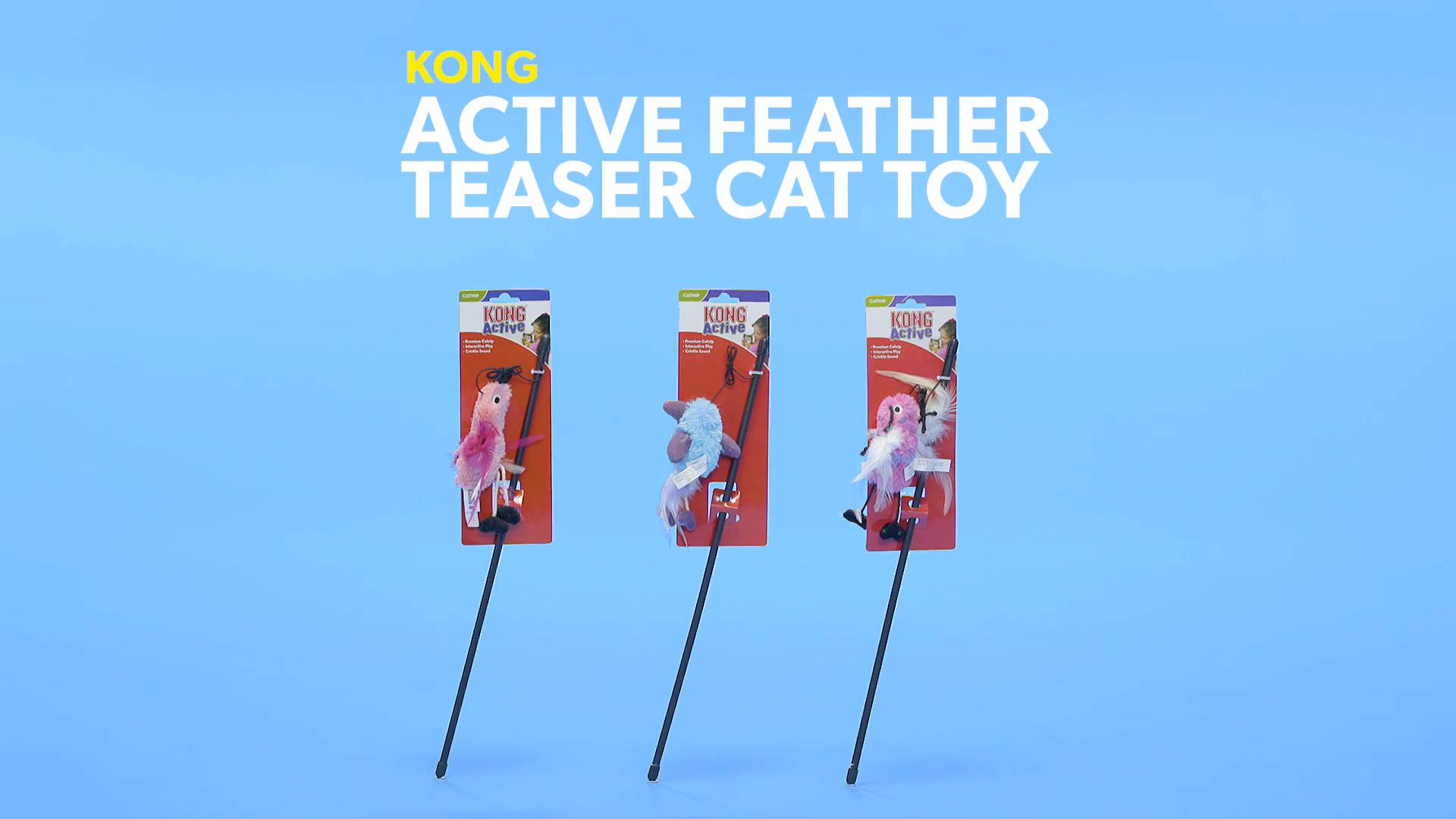 Kong active feather shop teaser cat toy