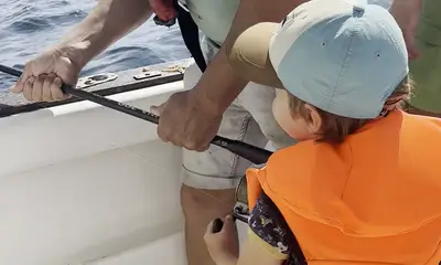 Tavira Verslag Video 0